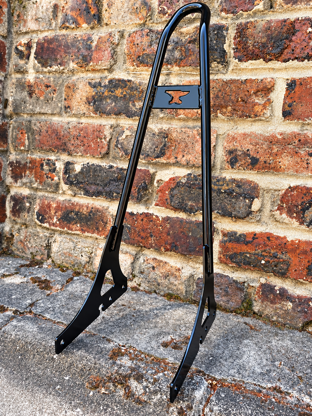 Sissy bar