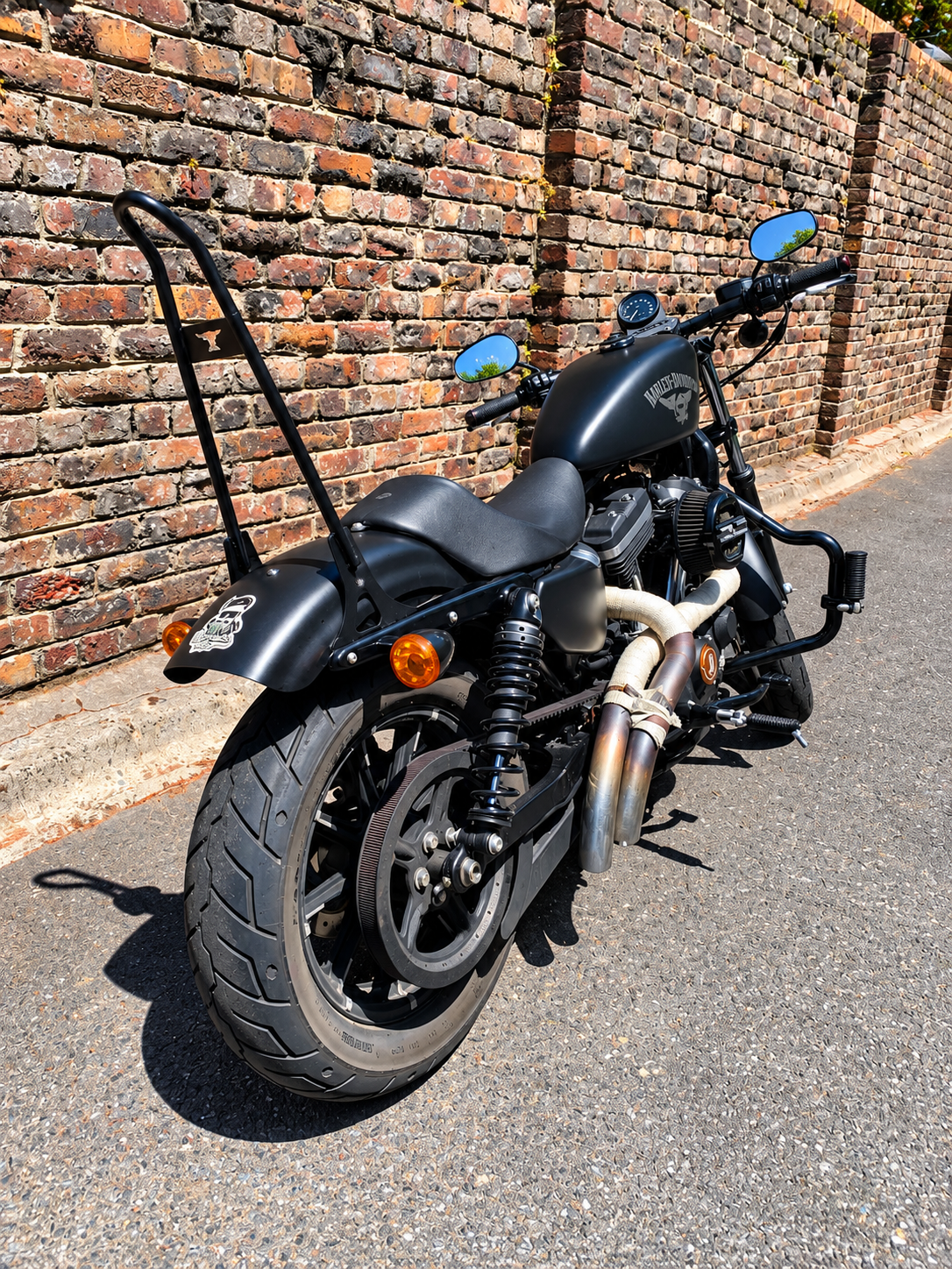 Sissy bar